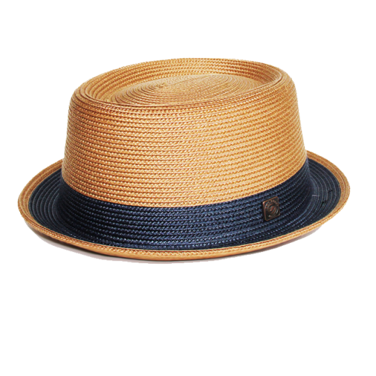 Hat worn by a young Renaissance man