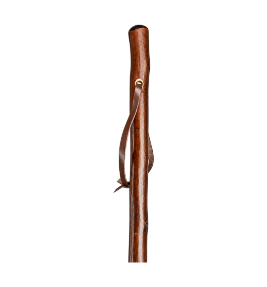 Gastrock Walking Stick – Chestnut Wood with Combi-Spike – transparent background view