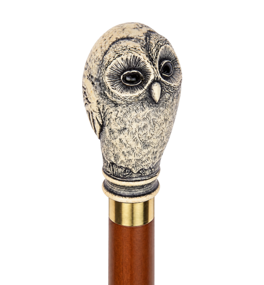 Charles Buyers Owl Collectible Cane – Transparent Background